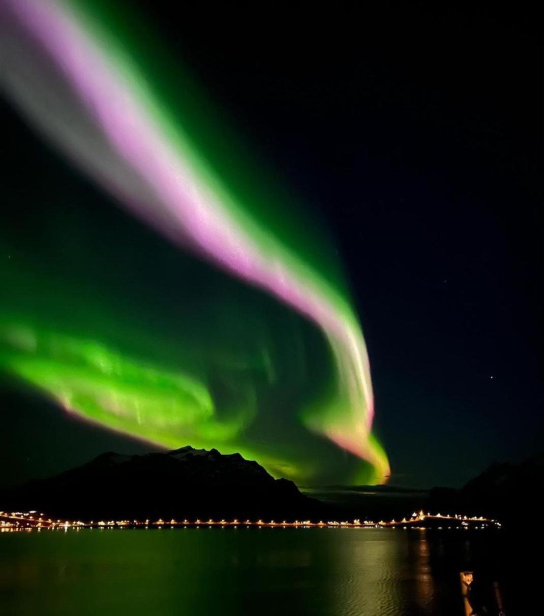 Kaldfjord Sea House Villa Tromsø Exteriör bild