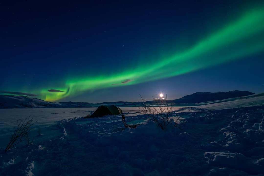 Kaldfjord Sea House Villa Tromsø Exteriör bild
