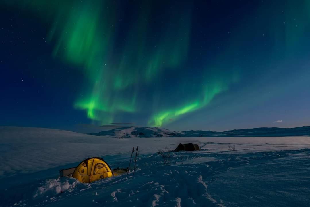 Kaldfjord Sea House Villa Tromsø Exteriör bild
